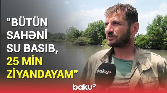 “Rəhmətə gedənin adından icarəyə götürürlər, sonra da...” | Qaxda fermerlər külli miqdarda ziyanda