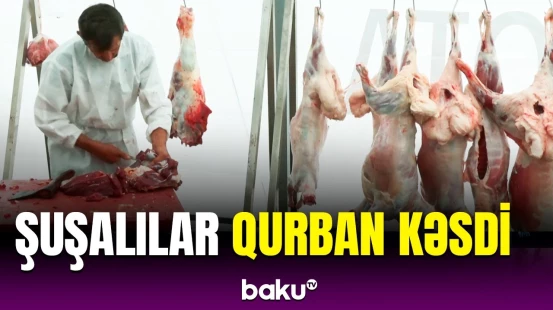 Şuşada qurbanlıq heyvanların kəsimi və satışı həyata keçirildi