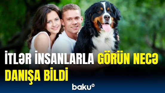 Bu it sahibini şoka saldı | İnsanlarla danışan heyvanlar nə istədi?