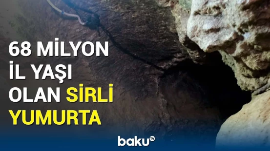 Alimləri illərlə heyrətə salan maraqlı yumurta | Tapıntı sübut edir ki...