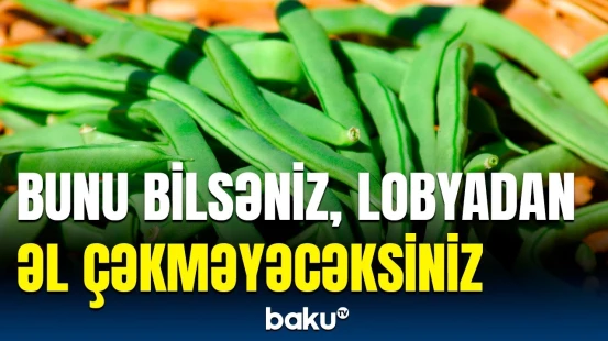 Lobya min bir dərdin dərmanı imiş | Bu xəstəliklərdən qurtulmaq istəyirsinizsə...