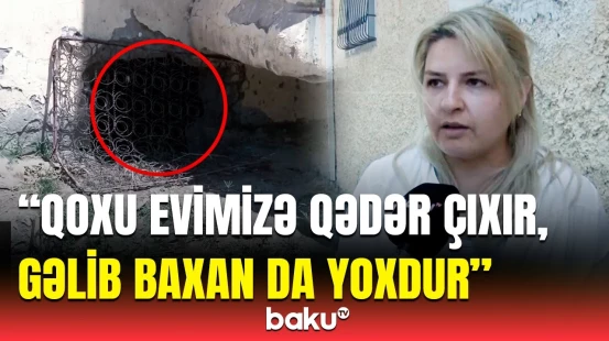 “Ağcaqanadın, milçəyin əlindən dayana bilmirik” | Sumqayıtda sakinlərin problemi niyə həll edilmir?