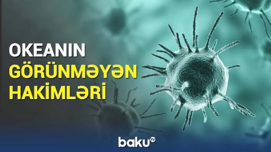 Yeni nəhəng virus növləri aşkarlandı | Mütəxəssislərdən maraqlı araşdırma