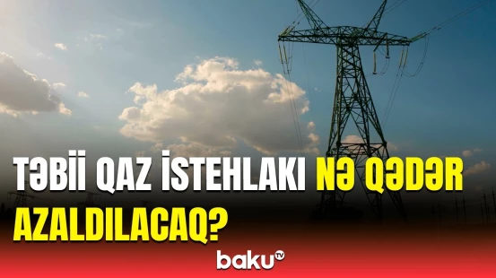 Pərviz Şahbazov Belçikada "yaşıl enerji" layihələrindən danışdı