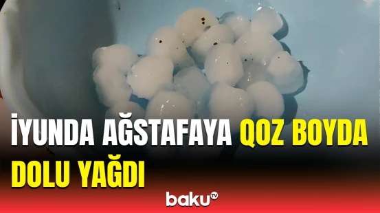 Qərb bölgəsinə güclü dolu düşdü