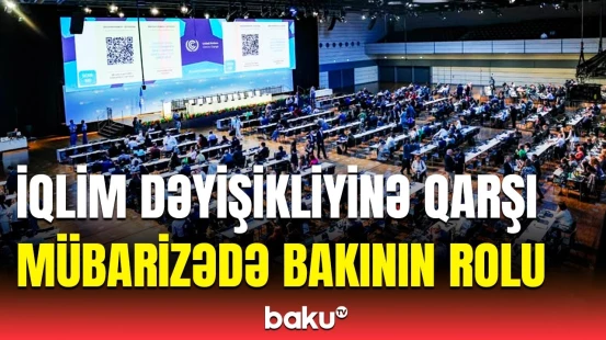 Bonn danışıqlarında Azərbaycanın önəmi və görülən işlər | Almaniyadan bağlantı