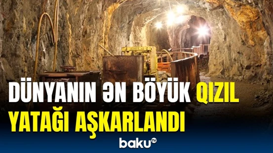 Standart göstəriciləri alt-üst edən tapıntı | 80 milyard dollarlıq sərvət