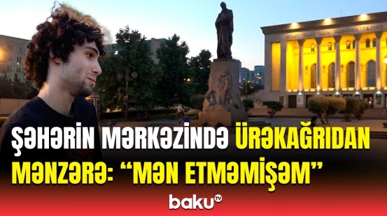 Füzuli heykəlinin ətrafı baxımsız vəziyyətdə | Buna görə məsuliyyəti kim daşıyır?