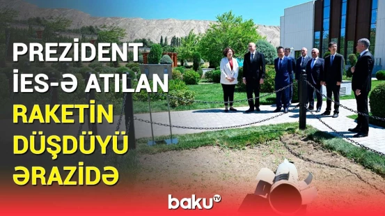 Prezident İlham Əliyev və qonaqlar Mingəçevirdə İES-in ərazisini gəzdilər