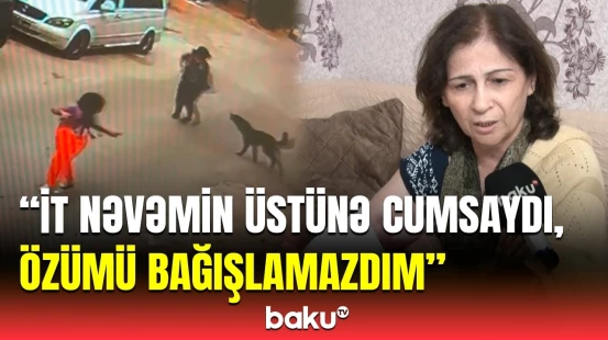 Ceyranbatan sakini nənə və nəvə dəhşət yaşadı | Hamısı quduz itlərdir...