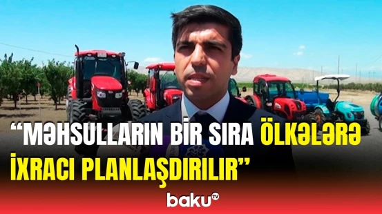 Yevlaxda istifadəyə verilən pilot aqroparkda görülən işlər