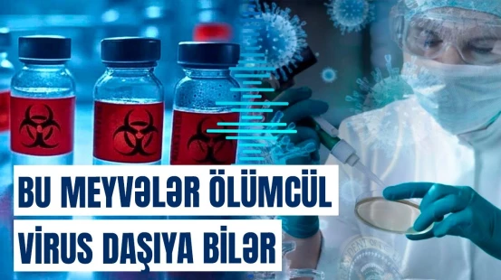 Alimlər yeni virus barədə qorxulu gerçəyi açıqladı | Yenə Çin, yenə yarasa?