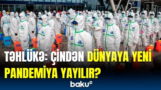 Aşkarlanan yeni viruslar alimləri də şoka saldı | Ölümcül viruslar necə yayılır?