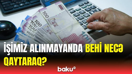 Behi necə geri almaq və ya qaytarmaq olar? | Hüquqşünasdan mühüm açıqlama