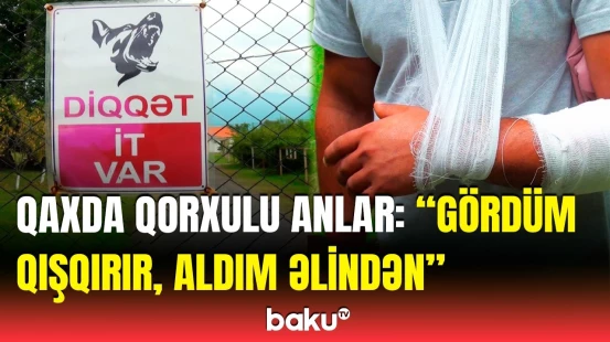 Başqasına köməyə getdi, it ona da hücum etdi | Yaralanan şəxs hadisə anını danışdı