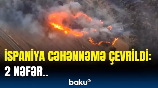 Kataloniyadakı meşələr alova büründü | Dəhşətli hadisənin təfərrüatı