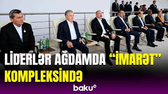 Zirvə görüşünün iştirakçıları "Zəfər" şousunu izlədilər