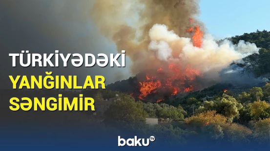 Meşə yanğınları iki nəfərin həyatına son qoydu | Fəlakətin detalları açıqlandı