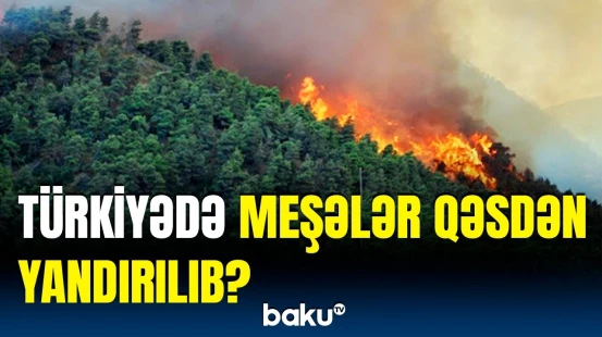 Türkiyə DİN rəhbərindən meşə yanğınları barədə vacib paylaşım