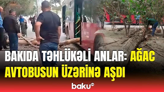 Bakıda külək fəsadlar törətdi