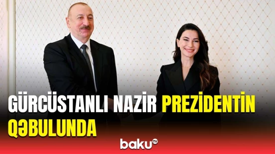 İlham Əliyev Gürcüstanın iqtisadiyyat və davamlı inkişaf nazirini qəbul etdi