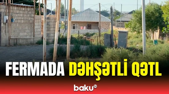 Sumqayıtdakı fermada baş verən tükürpərdici qətlin təfərrüatı