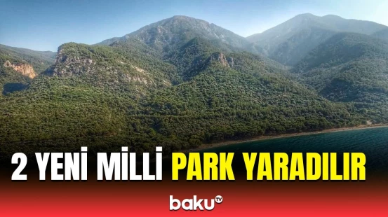 Yeni parklar harada yaradılacaq? - Prezident sərəncam imzaladı