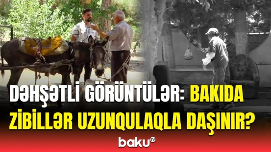 "Burada qəbahət nə var ki?" | Zirədə heyvana işgəncə verilir?