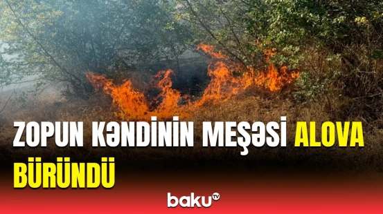 Cəlilabadda meşə sahəsində dəhşətli yanğın | Xəsarətalanın görüntüləri