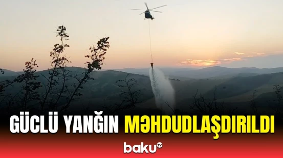 Cəlilabadda dağlıq ərazidəki yanğın söndürüldü | Hadisə yerindən görüntülər