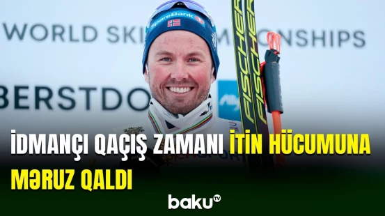 Dördqat dünya çempionu Emil İversen it dişləməsi nəticəsində xəsarət alıb