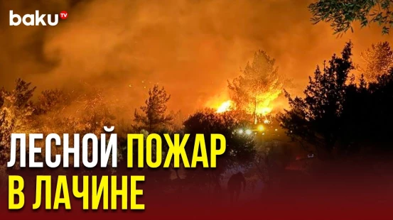 В Лачине продолжаются работы по тушению лесного пожара