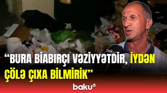 Nəfəs almaq olmur... | Zibil qablarının yoxluğu deyil, çoxluğu problem yaratdı
