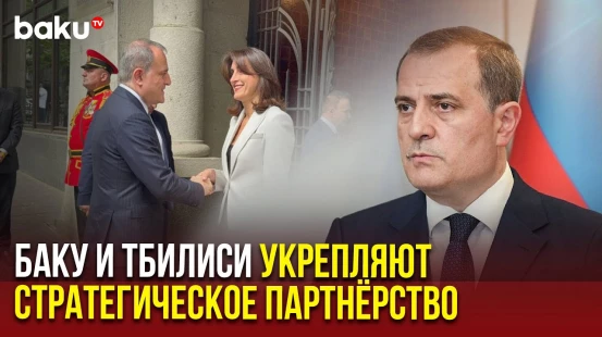 Джейхун Байрамов в рамках официального визита в Грузию встретился с Макой Бочоришвили