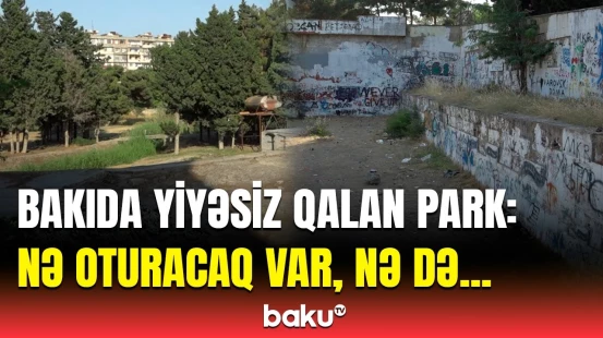 "Hər yeri abadlaşdırırlar, bura yaddan çıxıb" | "Nəbatat" bağında ürəkbulandıran mənzərə