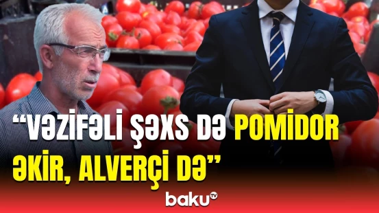 “10-15 min ziyandayıq” | Tonlarla məhsulu sata bilməyən fermerlər çarəsiz halda