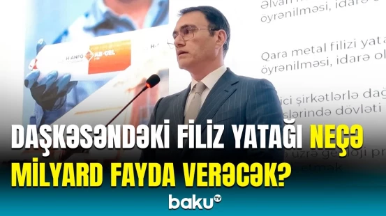 Cənubi Qafqazın ən böyük filiz yatağı barədə detallar | İlk zavod bu tarixdə açılacaq