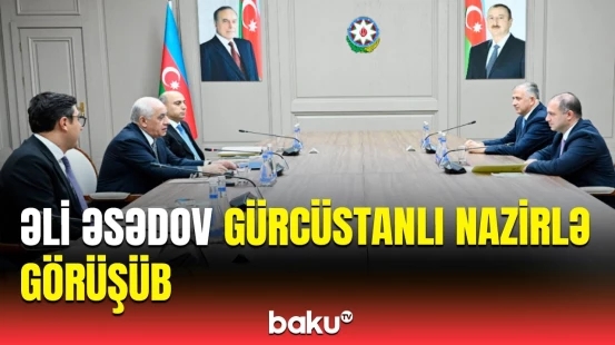 Əli Əsədov və Givi Mikanadze Bakıdakı görüşdə nələri müzakirə etdi?