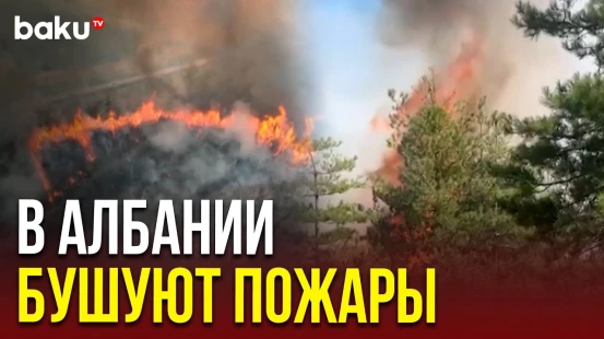 Албанию охватили лесные пожары из-за продолжительной жары