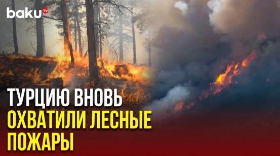 В турецких провинциях Бурса, Карабюк, Ушак и Кахраманмараш полыхают лесные пожары