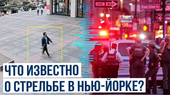 В Нью-Йорке мужчина открыл стрельбу по людям из винтовки