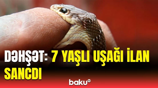 Nəbatat Bağında baş verən tükürpərdici hadisənin təfərrüatı | Ekspertdən təcili xəbərdarlıq