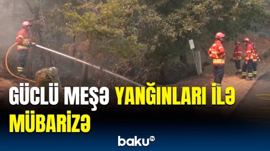 Portuqaliyada meşə yanğınları davam edir