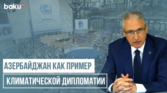 Как Азербайджан помог разрешить зашедшие в тупик обсуждения в Бонне | COP BAKU