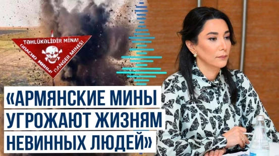 Зявление Омбудсмена АР Сабины Алиевой в связи с взрывом мины в Кельбаджарском районе