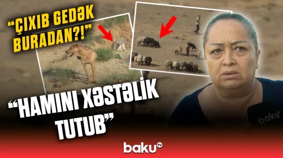 “Gecə 1-dən sonra yaşaya bilmirik” | Sakinləri bezdirən vəziyyətlə bağlı qurum nə dedi?