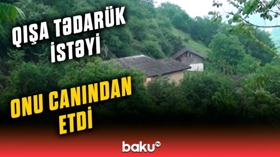 "Ağac budayarkən budaq üstünə düşüb" | Lerik meşəsindəki hadisənin detalları