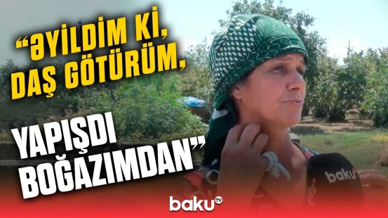 Xaçmazda kənd sakinlərinə hücum | Yaralananlar var