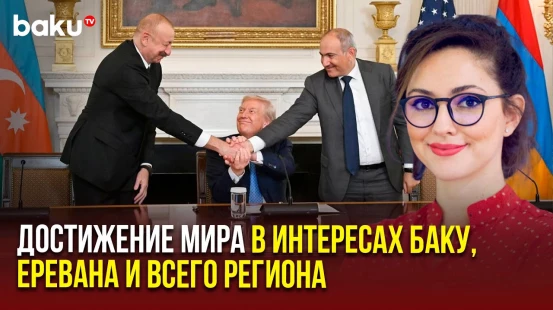 Турецкий аналитик Хазель Чаган Эльбир об итогах Вашингтонского саммита