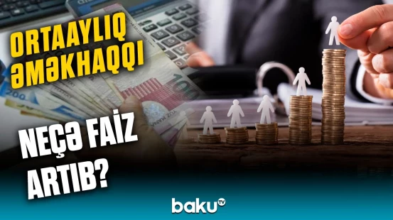 Hansı sahədə maaşlar daha yüksək olub? | Statistika açıqlandı